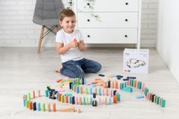 Domino Adam Toys