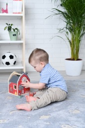 Farm house with blocks