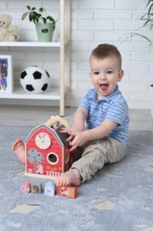 Farm house with blocks